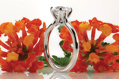 Diamond Wedding Rings, Sapphire Wedding Rings, Rose Gold Wedding Rings, and Unique Wedding Bands at Knox Jewelers.