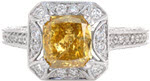 Bougainvillea (complete ring as shown) - Fancy Color Diamond Rings