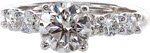 Starling - Classic Engagement Rings - Shared Prong, Basket Crown