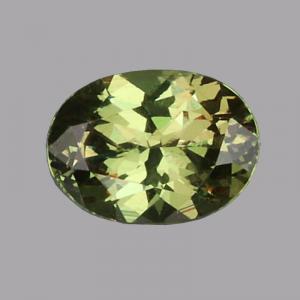 Garnet Oval 0.90 carat Green Photo