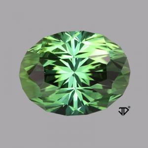 Tourmaline Oval 2.90 carat Green Photo