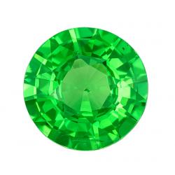 Garnet Round 1.31 carat Green Photo
