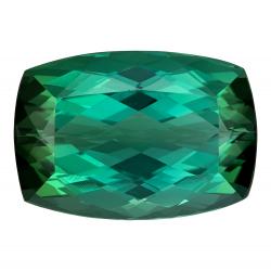 Tourmaline Cushion 15.01 carat Green Photo