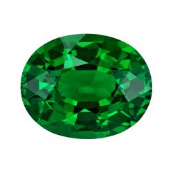 Garnet Oval 3.00 carat Green Photo