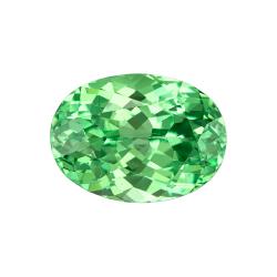 Garnet Oval 1.45 carat Green Photo