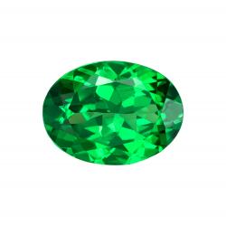 Garnet Oval 1.11 carat Green Photo