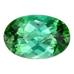 Tourmaline Oval 3.87 carat Green Photo