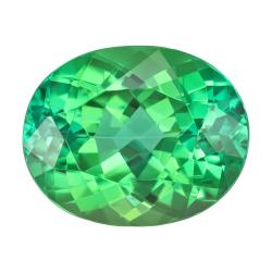 Tourmaline Oval 3.65 carat Green Photo