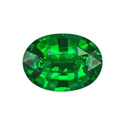 Garnet Oval 1.34 carat Green Photo