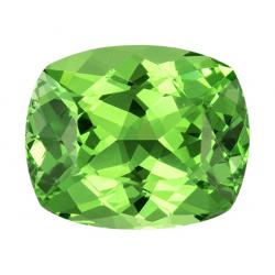 Garnet Cushion 1.25 carat Green Photo