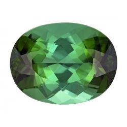 Tourmaline Oval 8.46 carat Green Photo