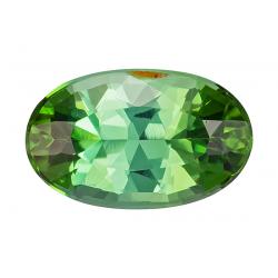 Tourmaline Oval 1.97 carat Green Photo