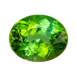 Tourmaline Oval 2.85 carat Green Photo