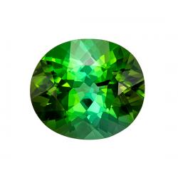 Tourmaline Oval 3.84 carat Green Photo
