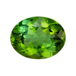 Tourmaline Oval 4.01 carat Green Photo