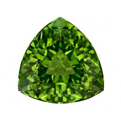 Tourmaline Trillion 3.08 carat Green Photo