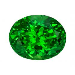 Garnet Oval 3.03 carat Green Photo
