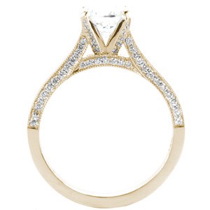 Micro pave engagement ring in St. Cloud with round brilliant center stone and yellow gold setting.